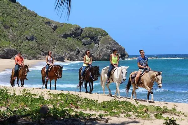 Tres Palmas Inn And Villas Rincon Aparthotel