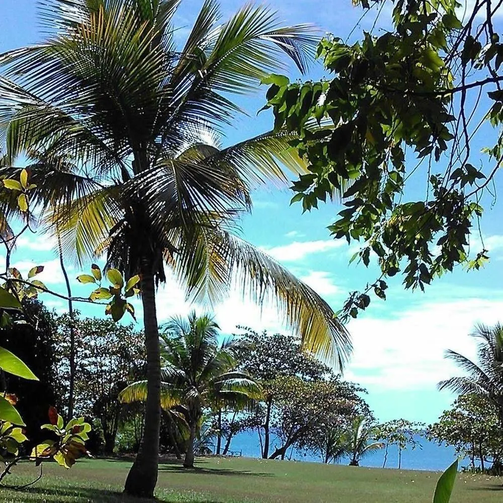 *** Apartahotel Tres Palmas Inn And Villas Rincón Puerto Rico